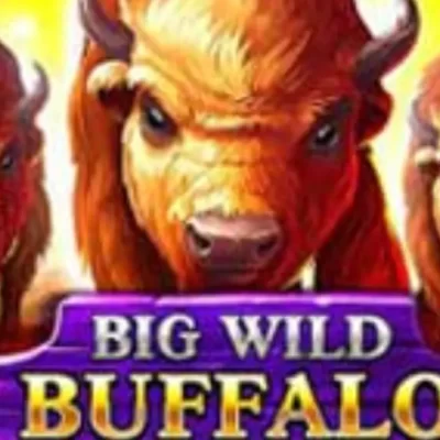 Big Wild Buffalo Pokie Review